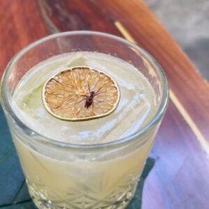 Jéssica Belcost Instagram - Alguém aceita um drink? 🥃🐜

Sim, é uma formiga de verdade, não é enfeite. 😅