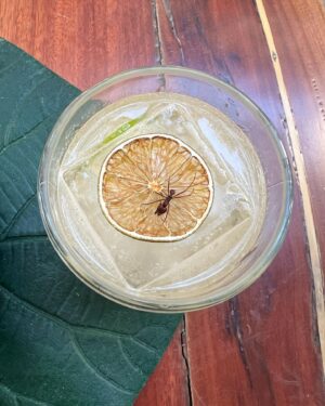 Jéssica Belcost Instagram - Alguém aceita um drink? 🥃🐜

Sim, é uma formiga de verdade, não é enfeite. 😅