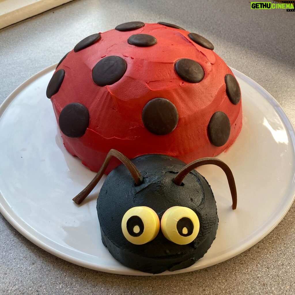 Jacinda Ardern Instagram - This year was my turn on the birthday cake (or what I’ve come to know as the ‘stress bomb’) Neve requested a Ladybug, and after several disasters underneath A LOT of icing, this was the result. All edible aside from the eyes (I resorted to sharpie on lollipops 😳) Happy Birthday Neve Te Aroha!