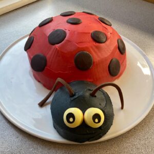 Jacinda Ardern Instagram - This year was my turn on the birthday cake (or what I’ve come to know as the ‘stress bomb’) Neve requested a Ladybug, and after several disasters underneath A LOT of icing, this was the result. All edible aside from the eyes (I resorted to sharpie on lollipops 😳) Happy Birthday Neve Te Aroha!