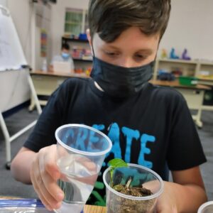 Jacqueline Laurita Instagram - Nick planted a seed and it started sprouting!! 🌱He’s having fun at school!