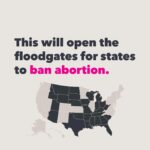 Jaime King Instagram - This isn’t f***ing complicated: Abortion is health care. Health care is a human right. The Supreme Court can (and apparently will) stop protecting the right to abortion, empowering politicians to outlaw abortion in your state. This hurts ALL of us. BansOff.org #bansoffourbodies