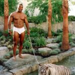 Jake Paul Instagram - Who did it better? (Swipe right) #PaulTyson @mostvaluablepromotions