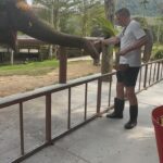 Jamie Carragher Instagram - Never work with animals 😩 #thailand #elephant