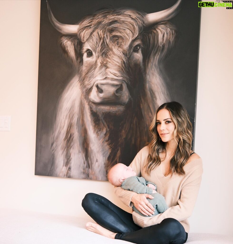Jana Kramer Instagram - Little Saturday story…..I wrote about this cow painting in @thenextchapterjk about how she spoke to my soul when I was at my lowest and in the middle of quarantine in Vancouver. I shared with the owner of the Airbnb just how much I loved this painting and within months she had surprised me with it. It now hangs in the kitchen area and when we moved into our new house I said to Allan, “sorry that we have this random huge cow hanging in our kitchen area but it’s kind of a long story and it means a lot to me”. He said , “it’s a Scottish highland cow, I grew up with them and love them”. It all made sense in that moment. ♥️#godwinks