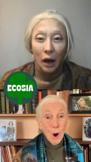 Jane Goodall Thumbnail - 122.3K Likes - Top Liked Instagram Posts and Photos