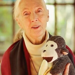 Jane Goodall Thumbnail - 16.8K Likes - Top Liked Instagram Posts and Photos