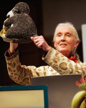 Jane Goodall Thumbnail - 16.1K Likes - Top Liked Instagram Posts and Photos