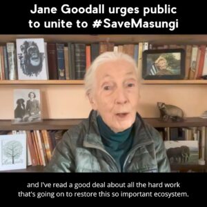 Jane Goodall Thumbnail - 11.9K Likes - Top Liked Instagram Posts and Photos