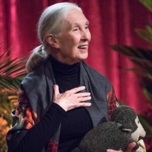 Jane Goodall Thumbnail - 57.2K Likes - Top Liked Instagram Posts and Photos