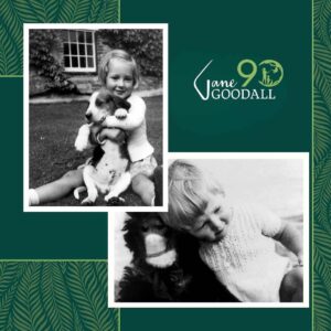 Jane Goodall Thumbnail - 42.9K Likes - Top Liked Instagram Posts and Photos