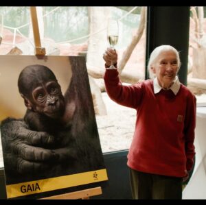 Jane Goodall Thumbnail - 10.5K Likes - Top Liked Instagram Posts and Photos