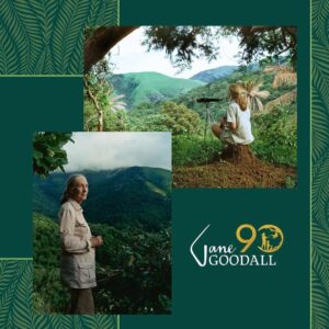 Jane Goodall Thumbnail - 42.9K Likes - Most Liked Instagram Photos