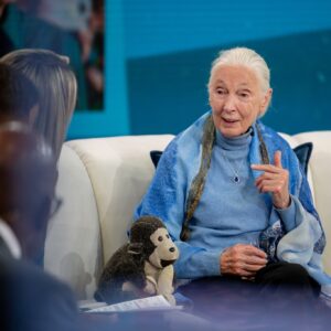 Jane Goodall Thumbnail - 7.2K Likes - Most Liked Instagram Photos
