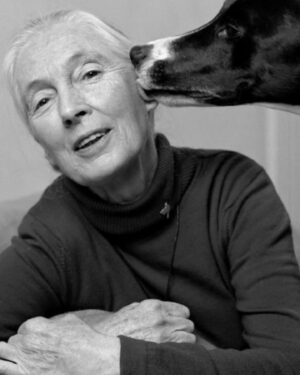 Jane Goodall Thumbnail - 57.2K Likes - Most Liked Instagram Photos