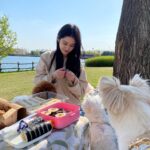 Jang Na-ra Instagram – 행복했던 봄소풍!!