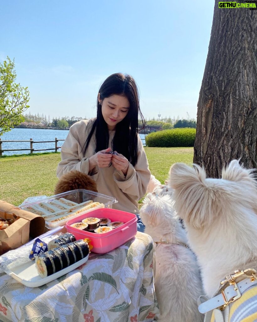 Jang Na-ra Instagram - 행복했던 봄소풍!!