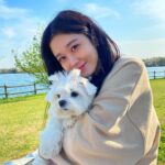 Jang Na-ra Instagram – 행복했던 봄소풍!!