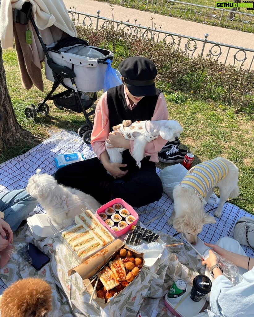 Jang Na-ra Instagram - 행복했던 봄소풍!!