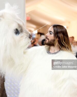Jared Leto Instagram - Happy Met Gala 🖤

Which was your favorite?

Maybe it’ll make an appearance on tour 🐱

@gucci @alessandro_michele @karllagerfeld @scpsunlimited @kimkardashian @kendalljenner @kyliejenner @dakotajohnson @katyperry @jimmyfallon @honeymoon @donatella_versace