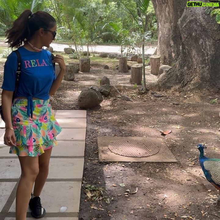 Jasmin Bhasin Instagram - @caselamauritius you healed me 🩷 Nature and wildlife at its best . Place that I can visit a million times . Thank you so much @mauritius.tourism @mauritius_india @europamedia.ent for this amazing experience . Your island is not just truly beautiful but also the love of people here make it even more special . Keep calling me 🫶🏻 #feelourislandenergy #mauritiustourism #mauritiusnow #leisurepark #casellamauritius