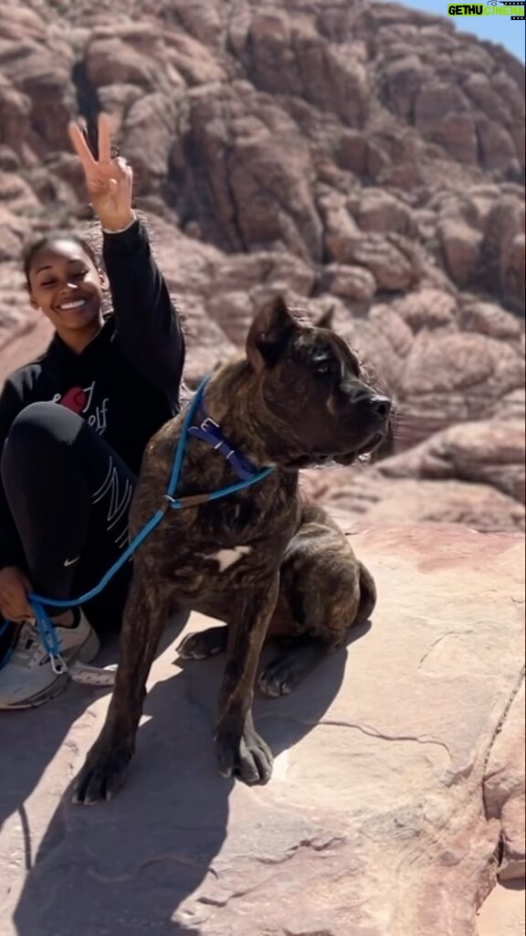 Jasmine Luv Instagram - Morning hikes with hubby and our boy ❤️🥾☀️ @zeus_luvnslim @luvnslim #HappyFriday #PresaCanario