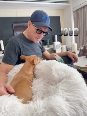 Jean-Claude Van Damme Instagram - Pure love ❤️ #jcvd #vandamme #pure #love #animals #friends