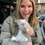 Jenna Bush Hager Instagram - Introducing the newest member of the Hager fam… Mango! Poppy’s new kitten! And he’s already best friends with his sister Hollywood 😸😸😸💓💓