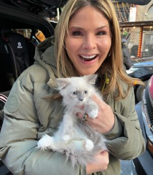 Jenna Bush Hager Instagram - Introducing the newest member of the Hager fam… Mango! Poppy’s new kitten! And he’s already best friends with his sister Hollywood 😸😸😸💓💓