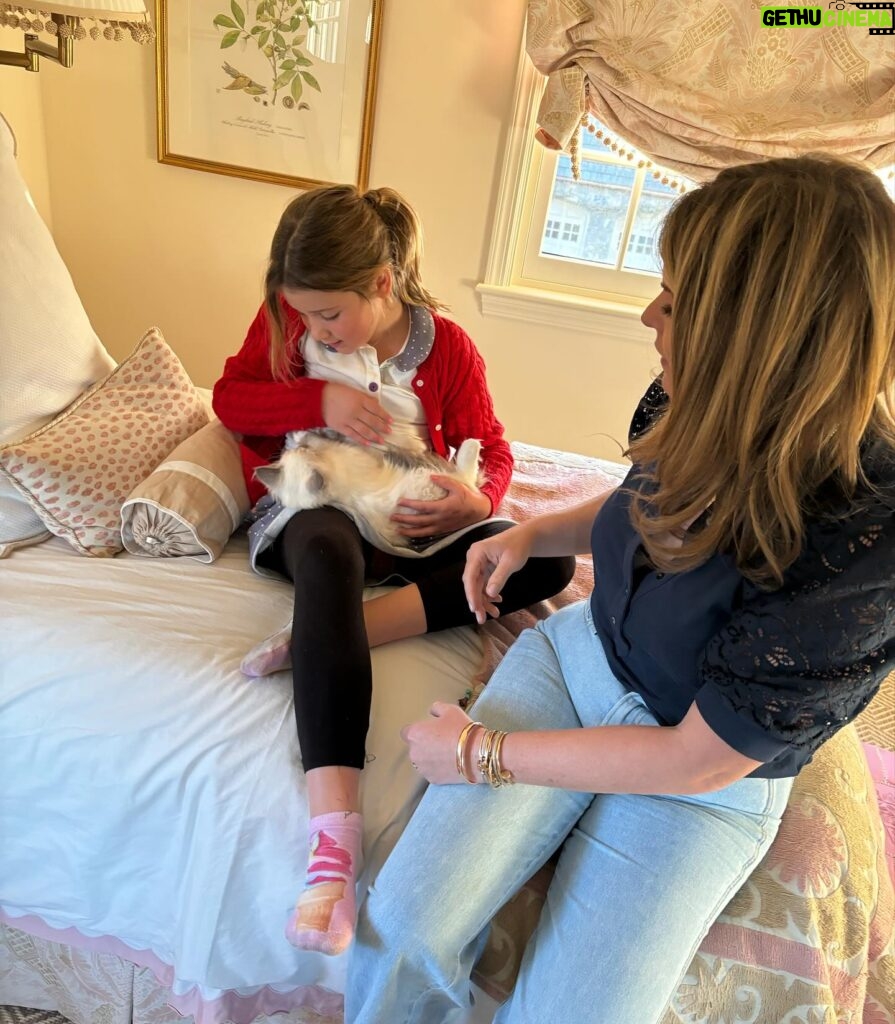 Jenna Bush Hager Instagram - Introducing the newest member of the Hager fam… Mango! Poppy’s new kitten! And he’s already best friends with his sister Hollywood 😸😸😸💓💓