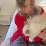 Jenna Bush Hager Instagram - Introducing the newest member of the Hager fam… Mango! Poppy’s new kitten! And he’s already best friends with his sister Hollywood 😸😸😸💓💓