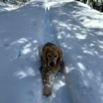 Jennifer Connelly Instagram – Snowshoe adventure in VT ❄️