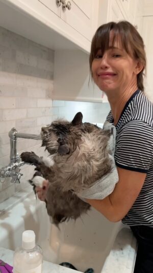 Jennifer Garner Instagram - A Moose favorite for #NationalPetDay. I love my cat. 😻