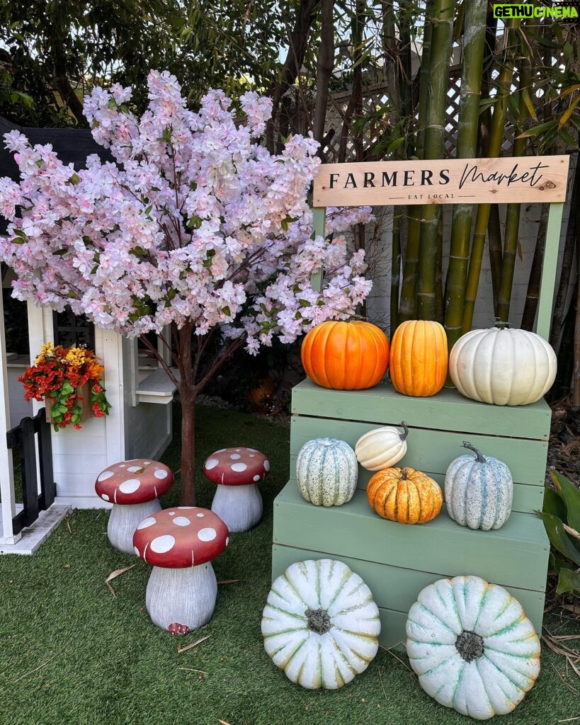 Jennifer Love Hewitt Instagram - Little bits of Fall
