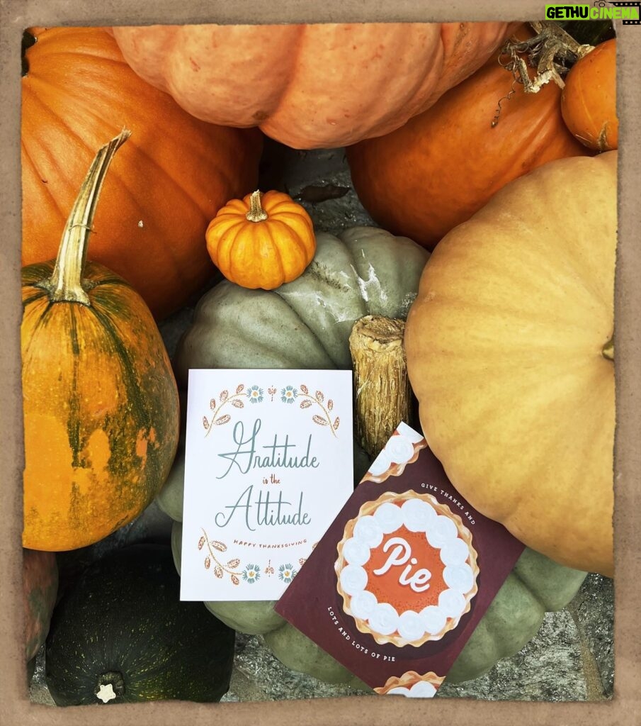 Jennifer Love Hewitt Instagram - Hey everybody our new cards are here and available! Gratitude and Pie does the trick everytime! Go to @2021_co and see the Thanksgiving cards from me The Holiday Junkie and @2021_co 🧡