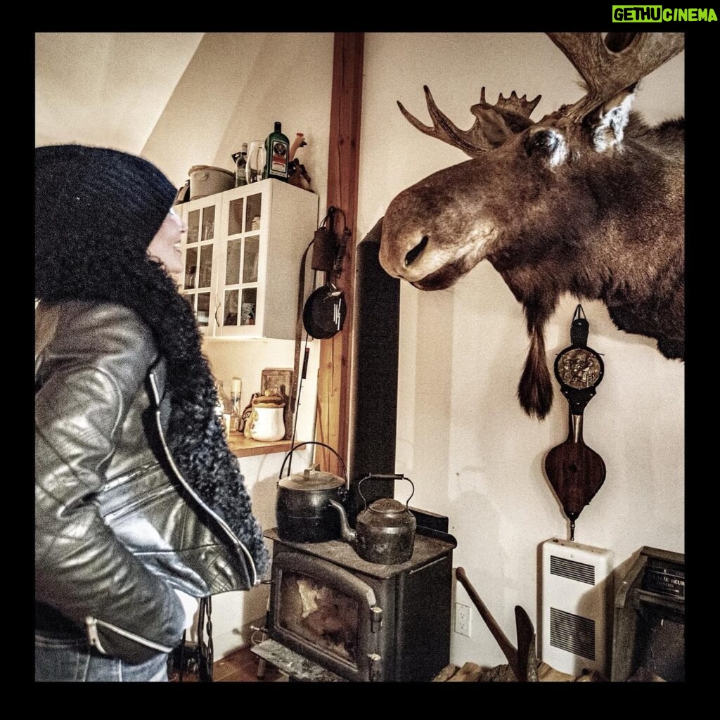 Jennifer Morrison Instagram - Any excuse to put a moose in the shot. #BTS Directing S1 of @joepickettseries, and a call back to directing the music video for #WildWildHorses. S2 of #JoePickettSeries is now streaming on @paramountplus