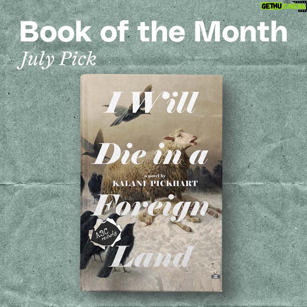 Jennifer Morrison Instagram - Welcome to #A3CReads! 📚Our July pick for Book of the Month is I Will Die in a Foreign Land, by @kalanipickhart. The novel follows four individuals over the course of a volatile Ukrainian winter, as their lives are forever changed by the Euromaidan protests. We are excited to interview Kalani, winner of the 2022 @nyplyounglions Fiction Award, about her creative process and her experience writing the book later this month. Explore our book review and order the book to read along with us at apartment3c.com. Link in bio. #bookstagram #bookstagrammer #bookofthemonth