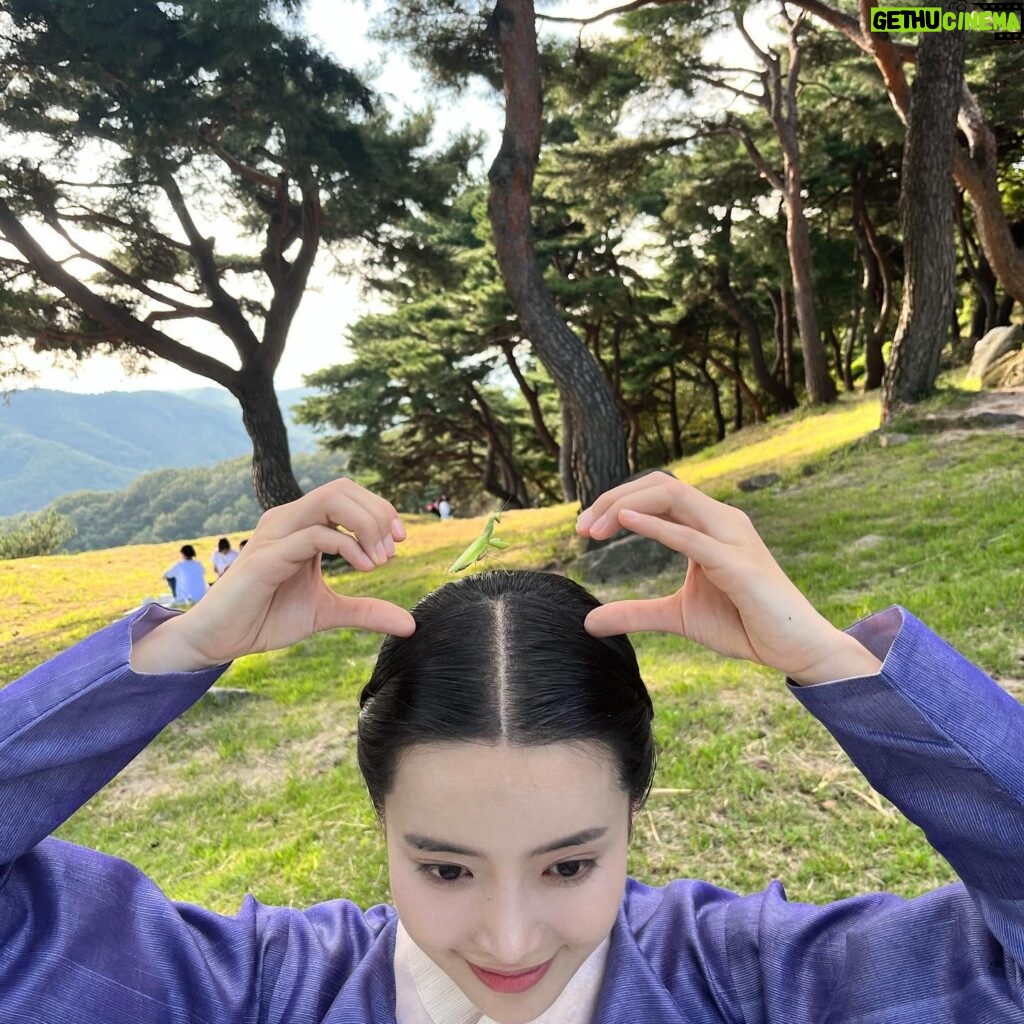 Jeong Sin-hye Instagram - 늘 산책하던 곳에서 새로 사귄 친구랑🧚‍♂️🌱✨ 기다리고 있겠습니다💟 내일은 #혼례대첩 하는 날! 본방사수🩷 #kbs2월화9시45분