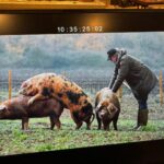Jeremy Clarkson Instagram – Farmering