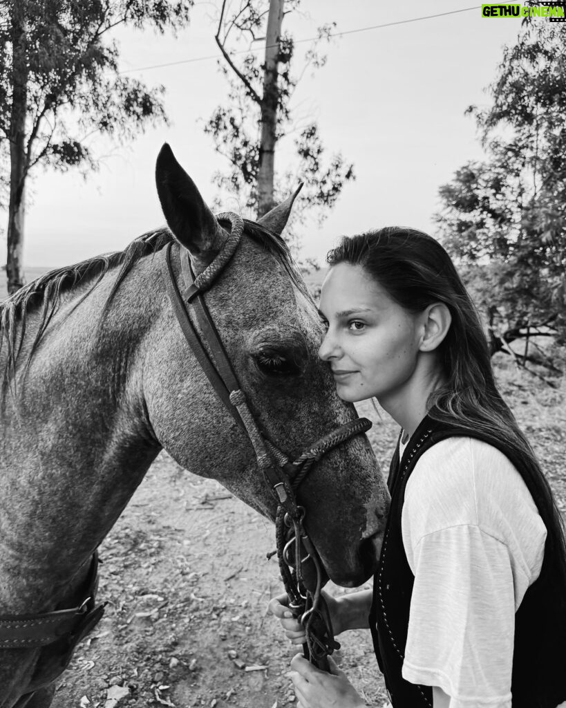 Jessica May Instagram - Algodão ❤️🐴