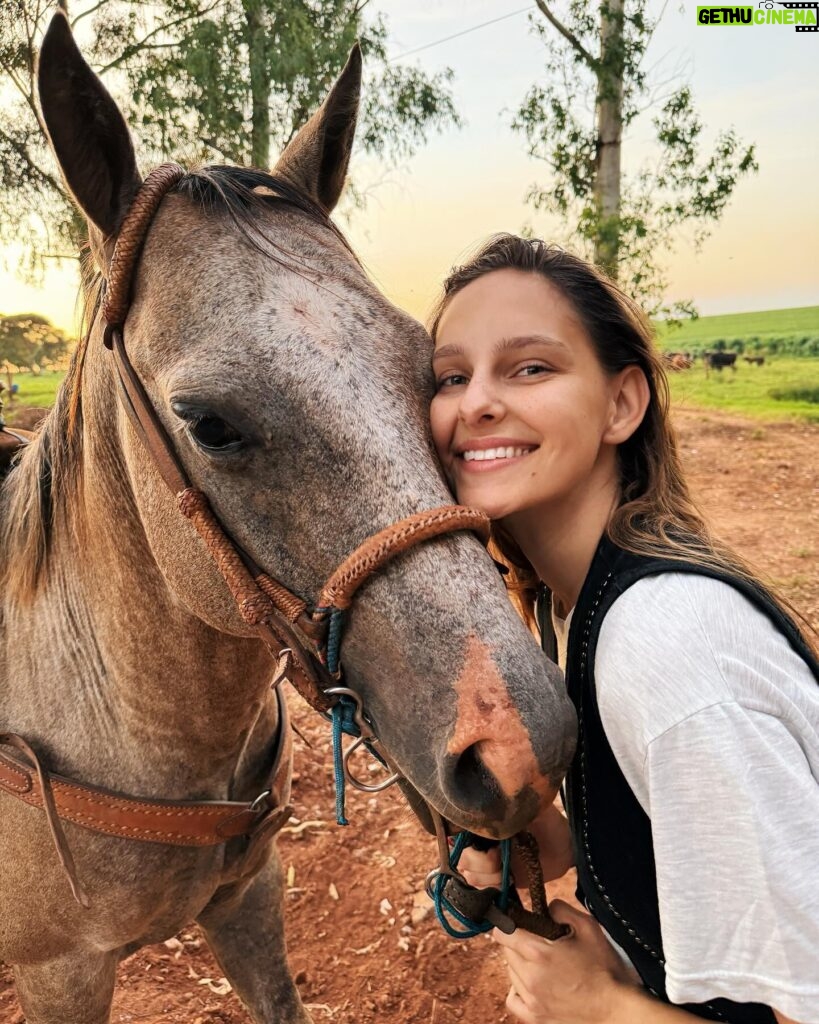 Jessica May Instagram - Algodão ❤️🐴