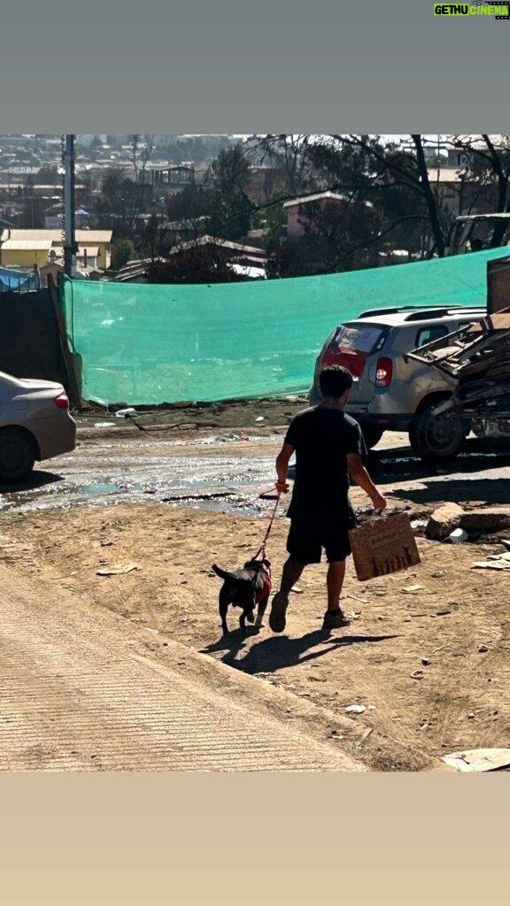 Jhendelyn Nuñez Instagram - Agradezco infinitamente a quienes me ayudaron con el traslado y operación de Nitro 🐶 la semana pasada ❤️ A min. de ver la noticia me contacté con @miradaanimalchile y amablemente lo trasladaron de urgencia a Stgo, no sabíamos la gravedad de su ojito. Gracias @cjonescastro veterinario que revisó y operó al cachorro el mismo día que llegó. Su diagnóstico fue Cherry eyes ( Luxación de la glandula del tercer parpado) ademas de entropion bilateral de canto medial. Y por último a @tomachoreyes y Fran por apañar 🙌🏻 Nitro ya se encuentro con su ojito sano y con su familia ❤️ Pd: aplausos para @guau_pascual que lo recibió muy tímido al principio, pero después dormían juntos jijij 😍