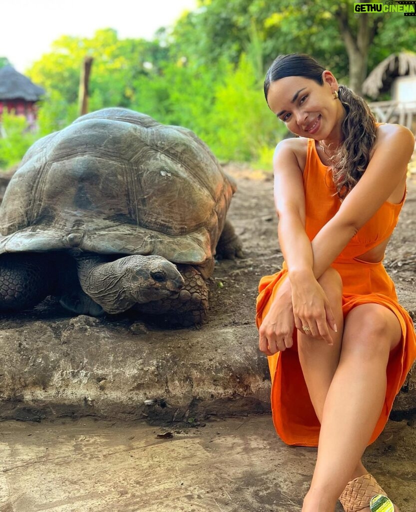 Jhendelyn Nuñez Instagram - Cuántos años creen que tiene la segunda 🐢? #isladechanguu #tanzania🇹🇿 #africa