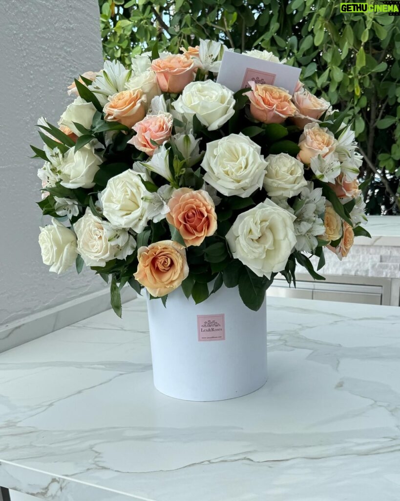 Jill Zarin Instagram - Thank you so much @lexandroses for partnering with me and @lovely.laceee these are STUNNING! Everyone please go to their website and get these beautiful arrangement’s! They’re located in Miami! 💐🌸🌼 Check them out!
