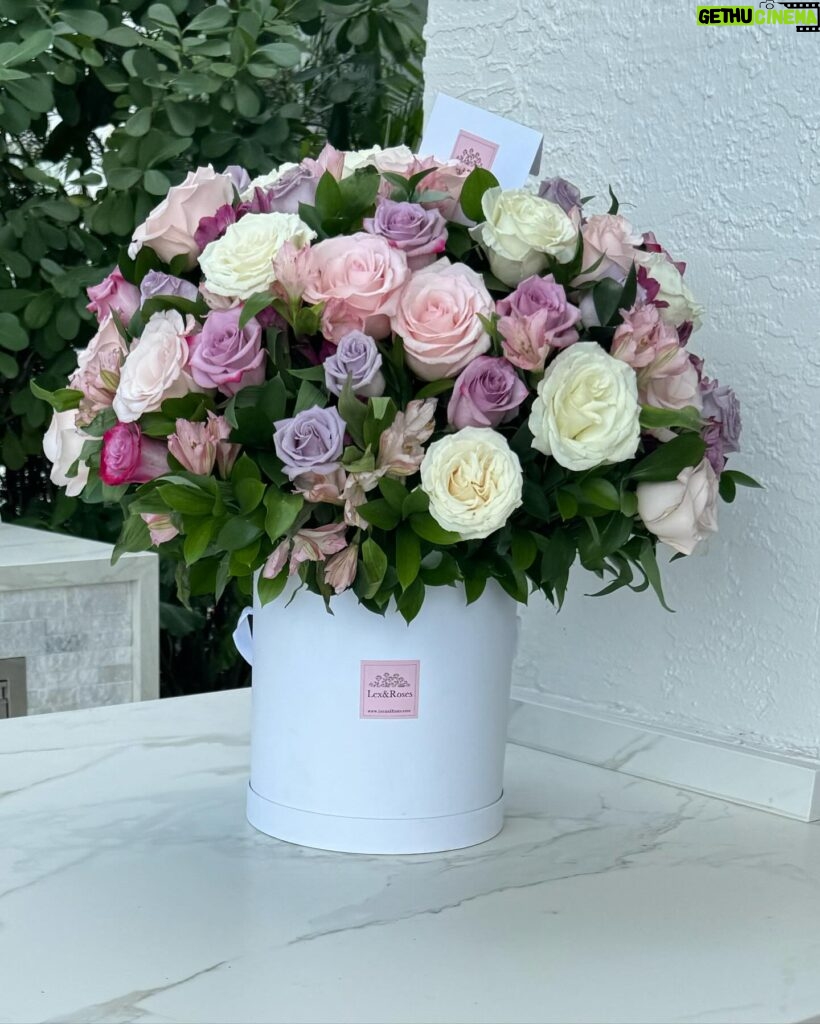 Jill Zarin Instagram - Thank you so much @lexandroses for partnering with me and @lovely.laceee these are STUNNING! Everyone please go to their website and get these beautiful arrangement’s! They’re located in Miami! 💐🌸🌼 Check them out!