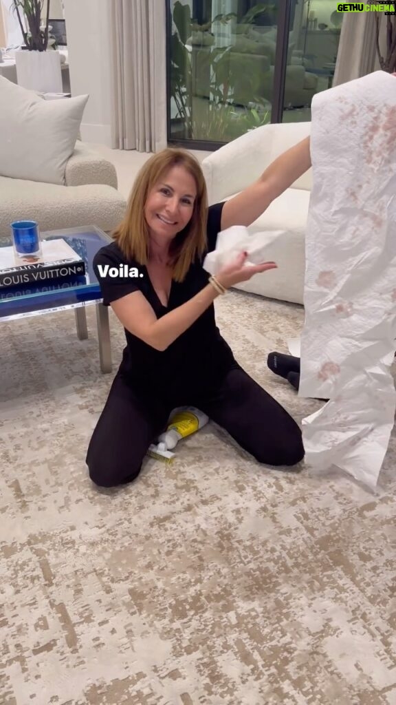 Jill Zarin Instagram - 🍷 Red wine SPILLED all over my rug! Did I get it out? Watch this. Rug by @jillzarinhome and created to EASILY get out any stain. How much better can it get? Beautiful rugs without a worry in the world. #rugs #rug #homedesign #homedecor #homedecoration #homedecorideas #homedetails #homedecorating #relatable #funnyreels #funnyreel #home #homesweethome #lifehacks #partyideas