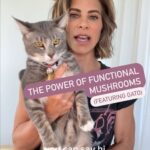 Jillian Michaels Instagram - The power of functional mushrooms on everything from immunity to neurogenesis, serenity to energy, gut health to a source of anti-oxidants. We will explore Reishi’s ability to help manage stress and boost mood; turkey tail’s benefit to the microbiome and the up-regulation of our immune system against diseases like cancer; the Stamets mushroom stack (lions mane, kibensis, and niacin) for preventing dementia and overall cognitive function; the power of cordyceps to power our workouts; chaga’s ability to support healthy cholesterol levels and lower LDL.  In part two, we will go over which mushroom supplements are best, from the fruiting body to mycelium, and the proper mushroom extraction process so we buy the best quality product for the greatest effects. We’ll also go over more about Reishi mushrooms, lion’s mane, shiitake, turkey tail and cordyceps. Keeping It Real - Functional Mushroom podcast with Tony Shields of Fresh Cap Mushrooms (@freshcapmushrooms ) - link is in my bio #functionalmushrooms #mushrooms