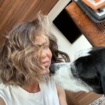 Jillian Michaels Instagram - Dog's rule ✊