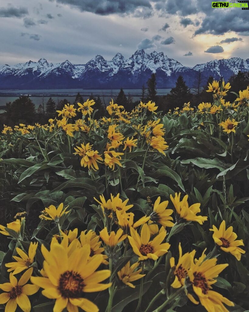 Jimmy Chin Instagram - Happy spring... which started a day early this (leap) year. Flowers aren't out quite yet, but won't be long now. The Tetons, Wyoming.