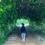 Jin Ji-hee Instagram - 뒤죽박죽 #근황 투척 후 #도망 🤪